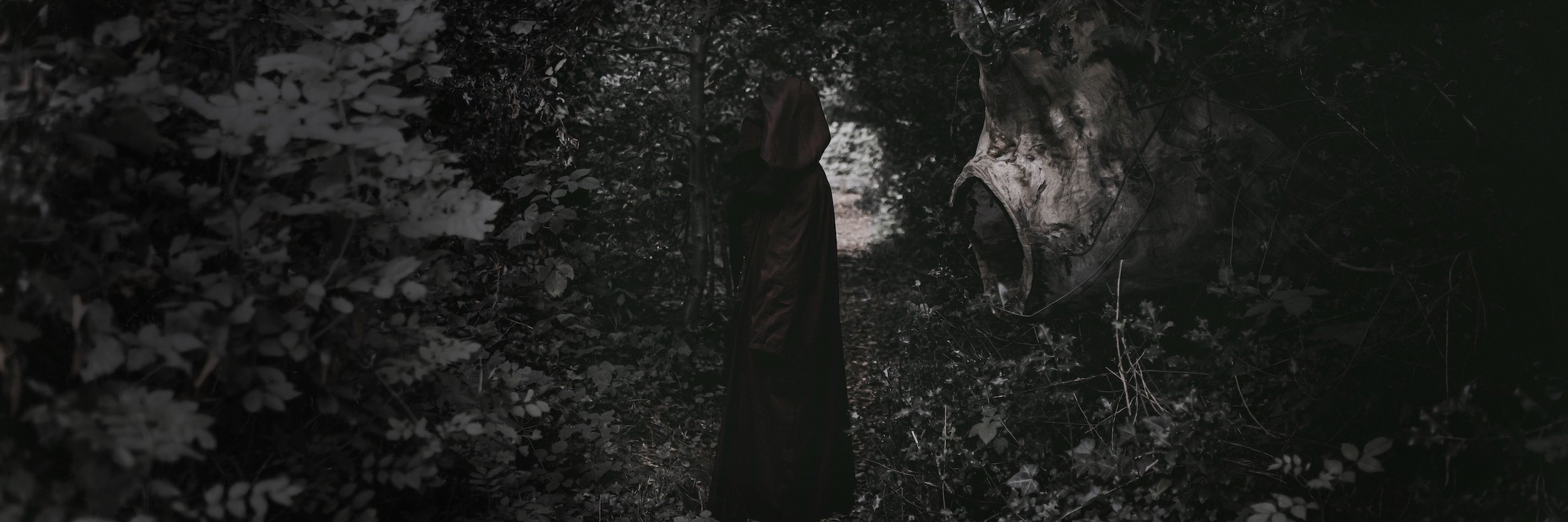 Dr Romany Reagan banner