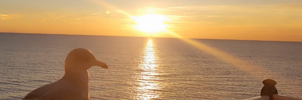 CanutoElena's profile banner image