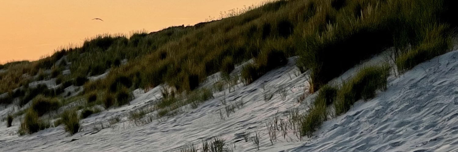 Ienepiene's profile banner image