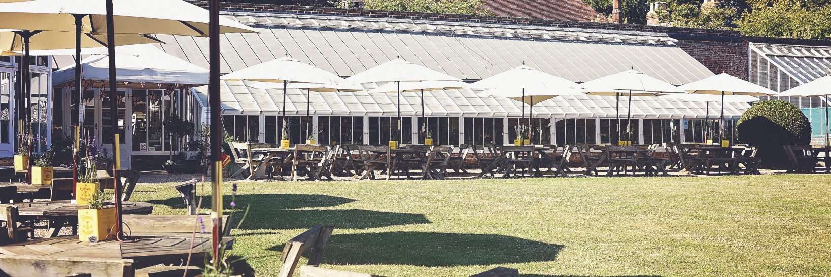 paviliontearoom's profile banner image
