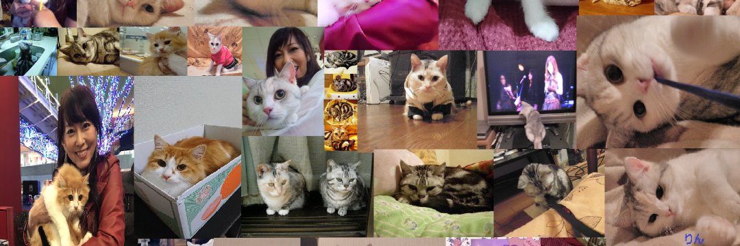 tenchan_ranchan's profile banner image