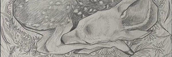 3000snapbacks Profile Banner