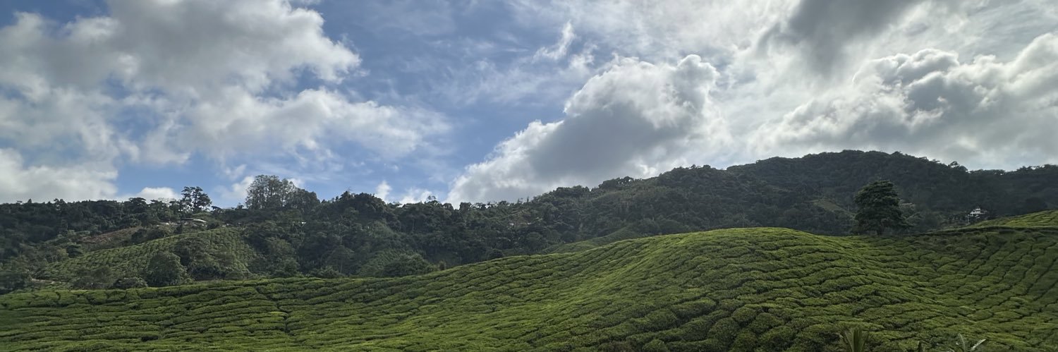 AinRamlee's profile banner image