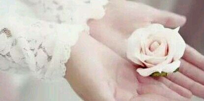 sama_tahir's profile banner image