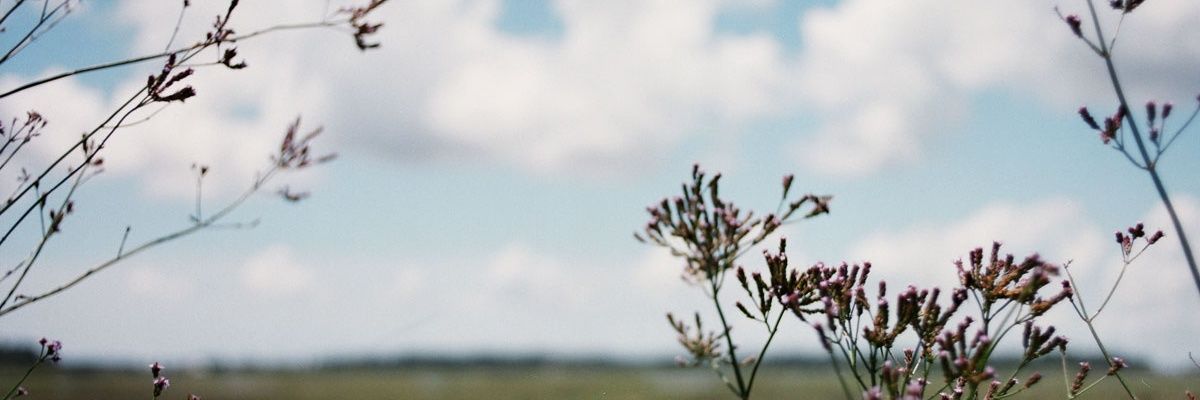 duchampian's profile banner image