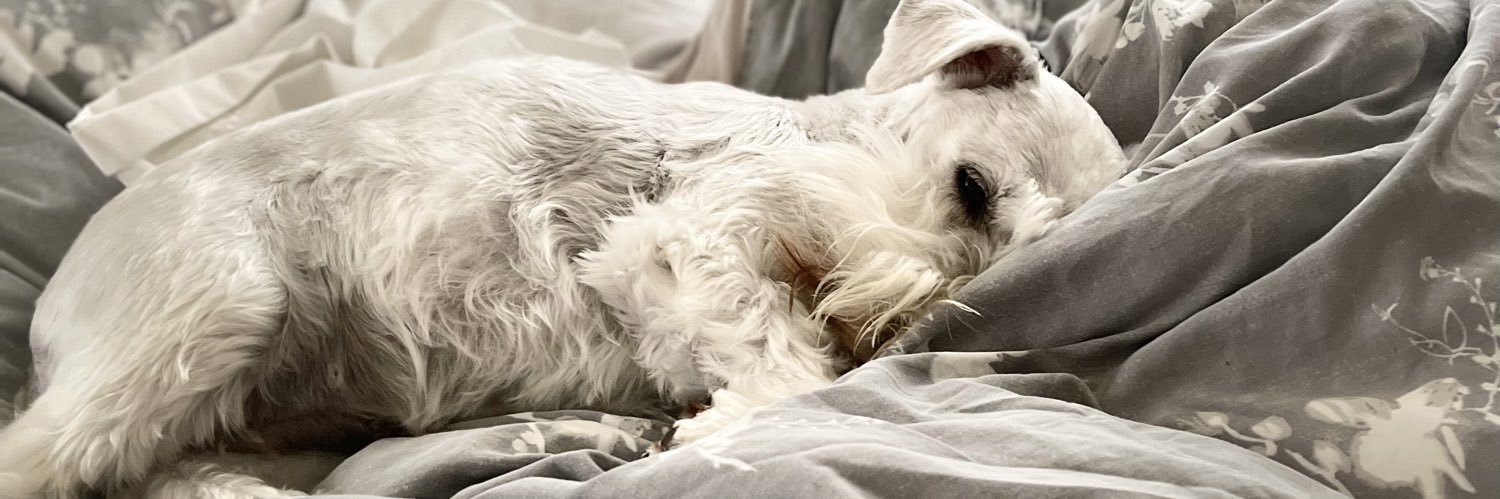 Teddy Tingley banner