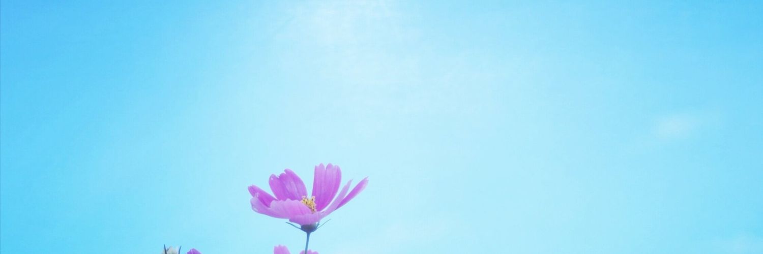 Ariela 🇮🇹 banner