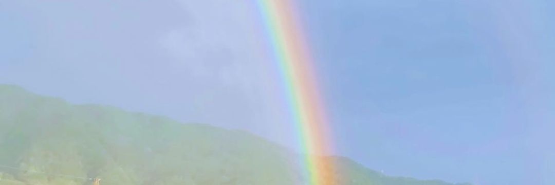 🌈恋瑚ƙσƙσ banner