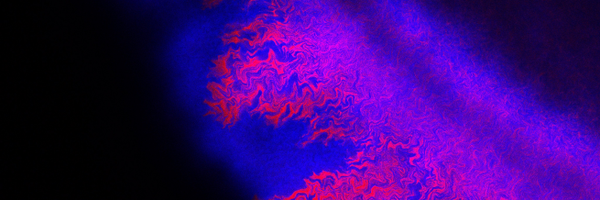 CiccareseDavide Profile Banner