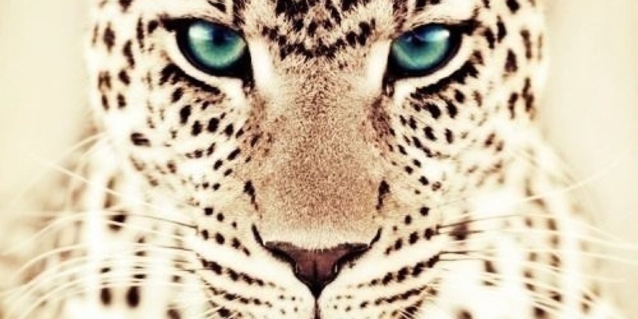_xsharron's profile banner image