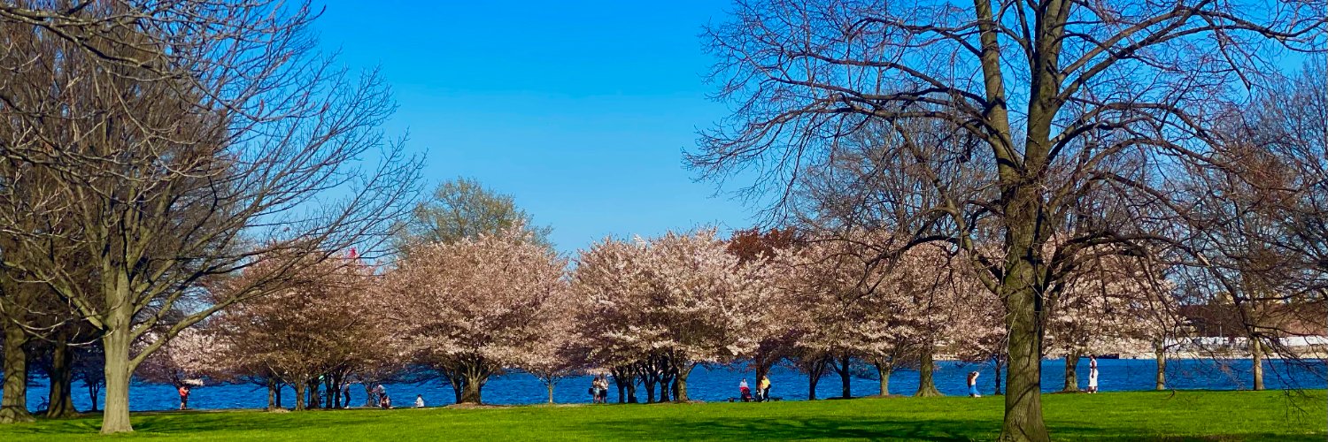 cindywp's profile banner image