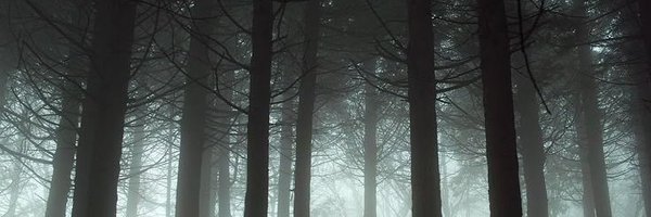 emotiondoping Profile Banner