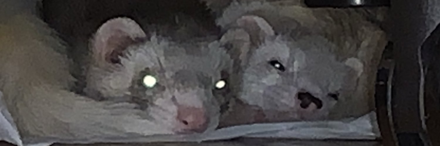 多部いなば🦡自宅RECやってます banner