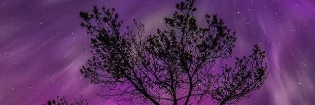 Titey81's profile banner image