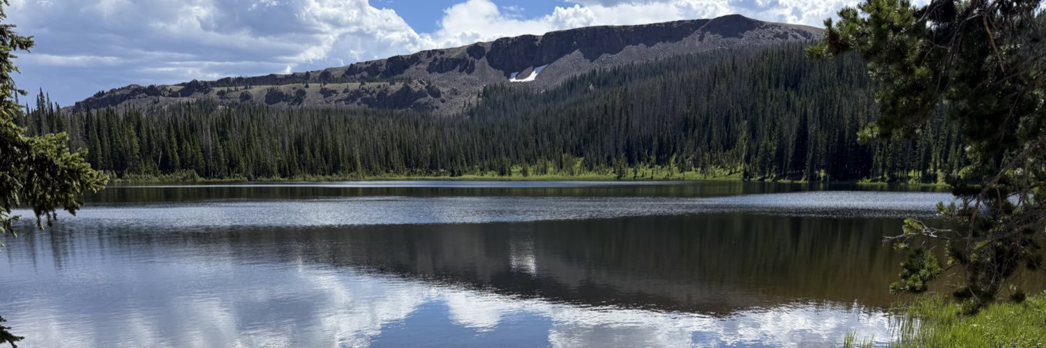 Robert Morris banner