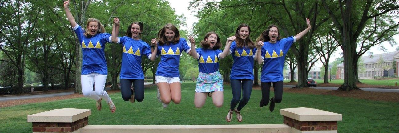 FurmanTriDelta's profile banner image