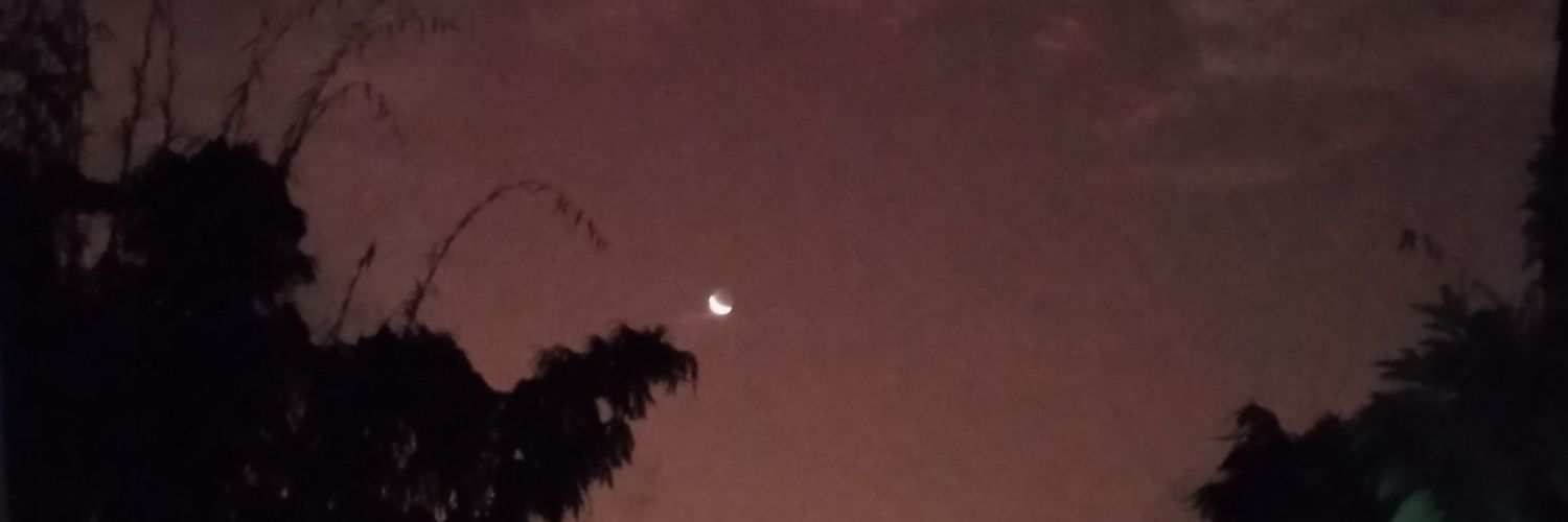 ⋆. scuzzimi ⋆. banner