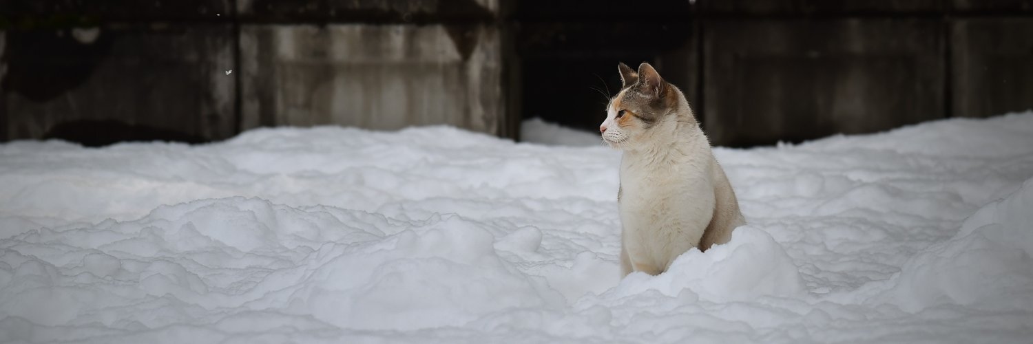 stmaphotos＠横須賀市民になりました！ banner