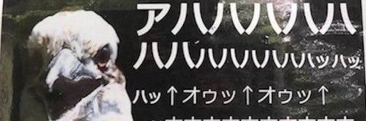 all___ooo's profile banner image