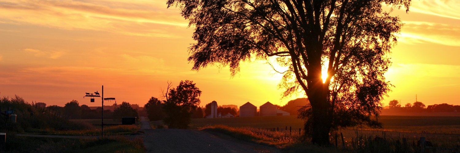 jill_blom's profile banner image