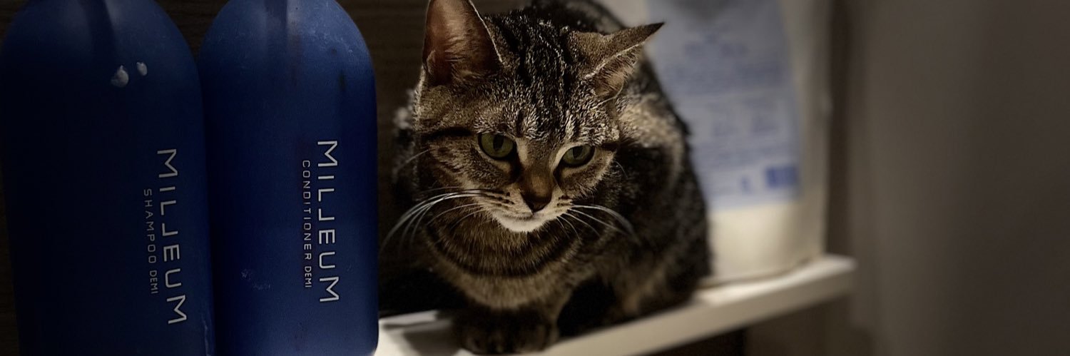 Chehlsy's profile banner image