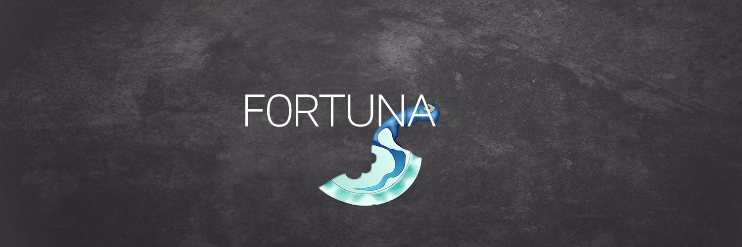 LucasF0rtuna's profile banner image
