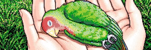 𓆩𐭄ᤐᤍゃᤐ𓆪 banner