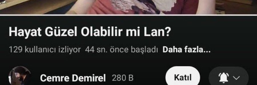 Ege banner