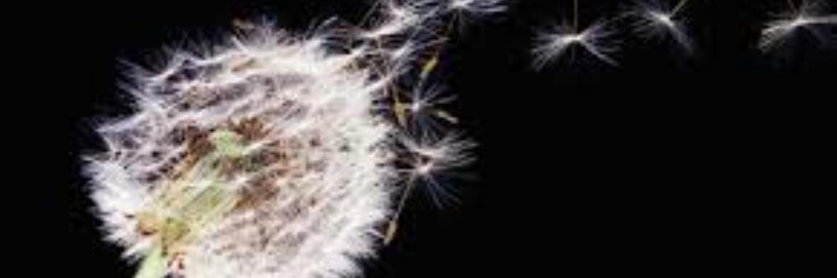 christythomas's profile banner image