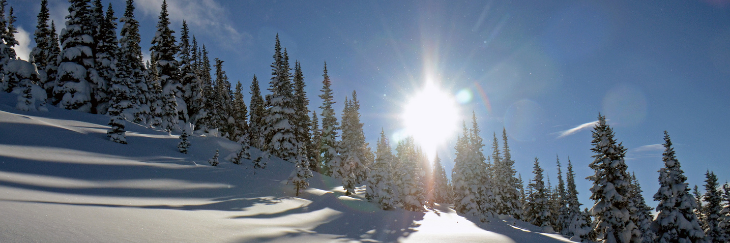 lorilisa's profile banner image