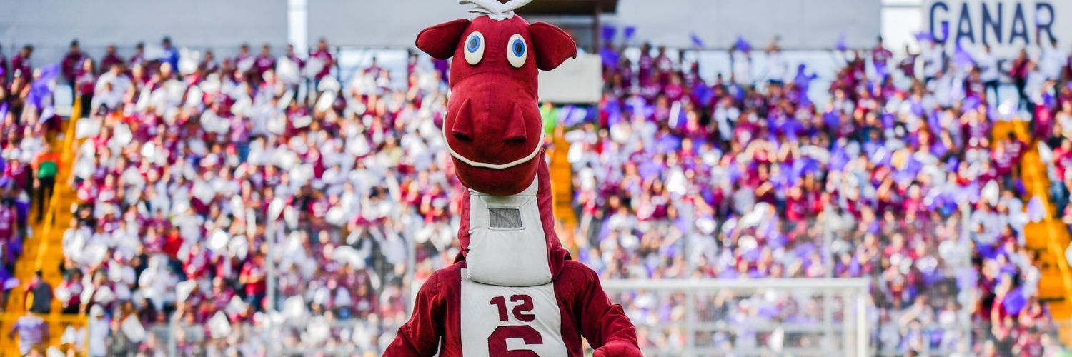 Mini Monstruo 💜 banner