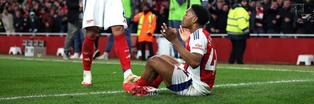 afcplots's profile banner image
