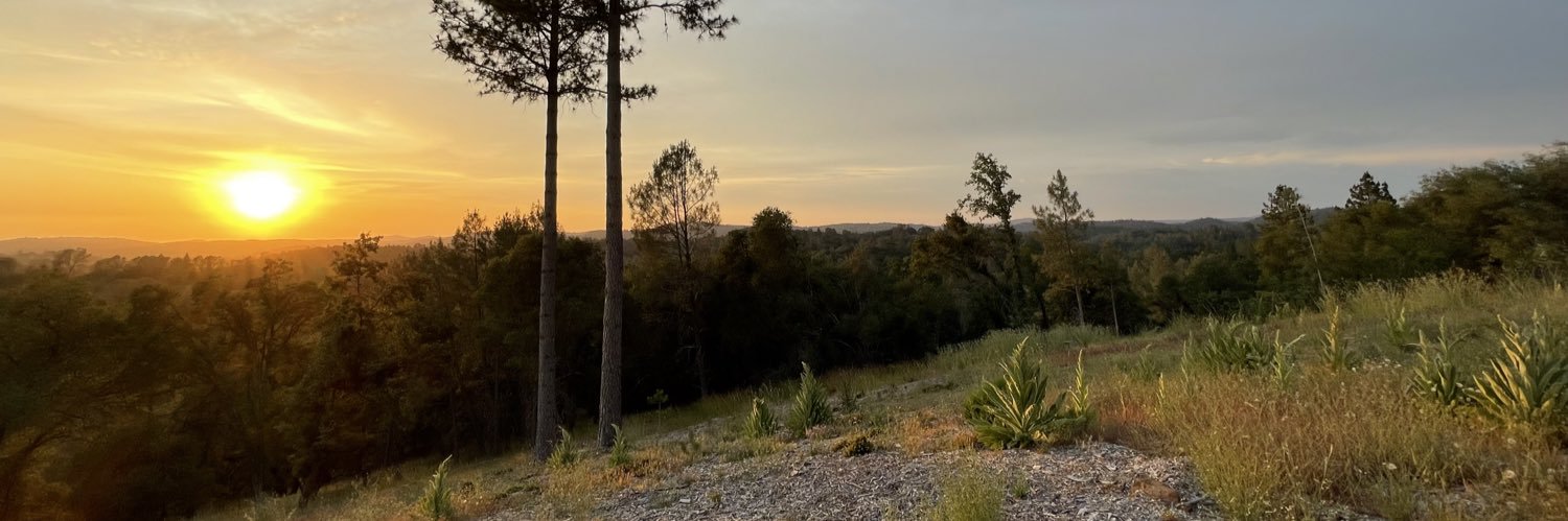 tiffanytravis's profile banner image