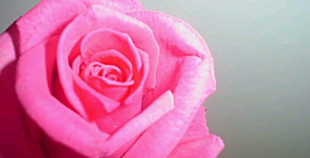 MariaJose_821's profile banner image