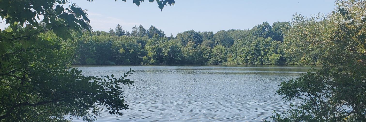 Osagie Ebekozien banner