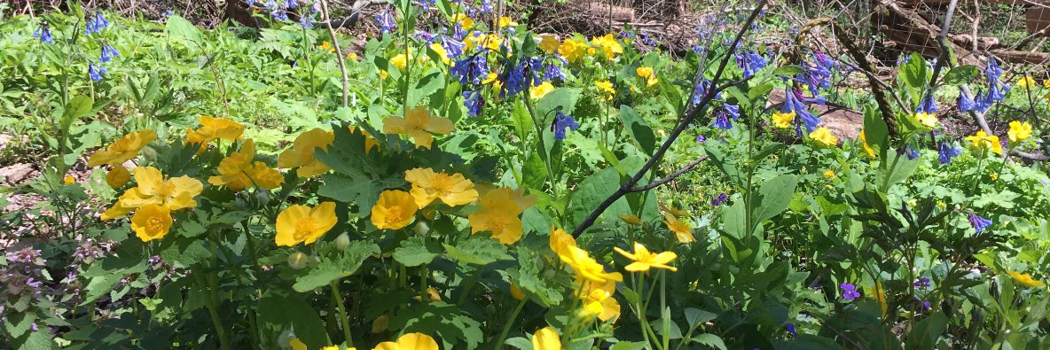 Arianna Prothero banner