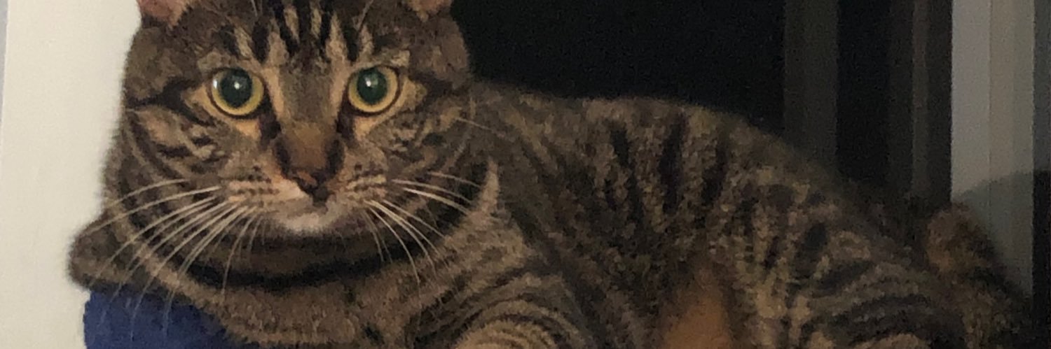 djanof's profile banner image