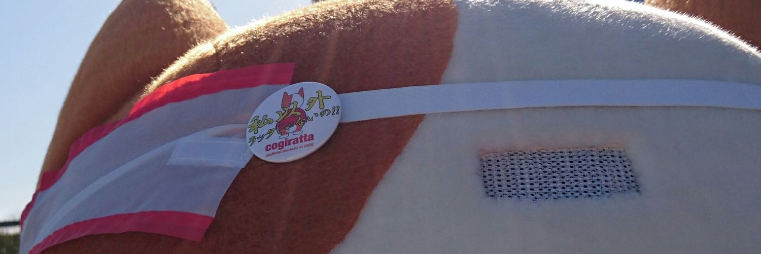 nlf252's profile banner image