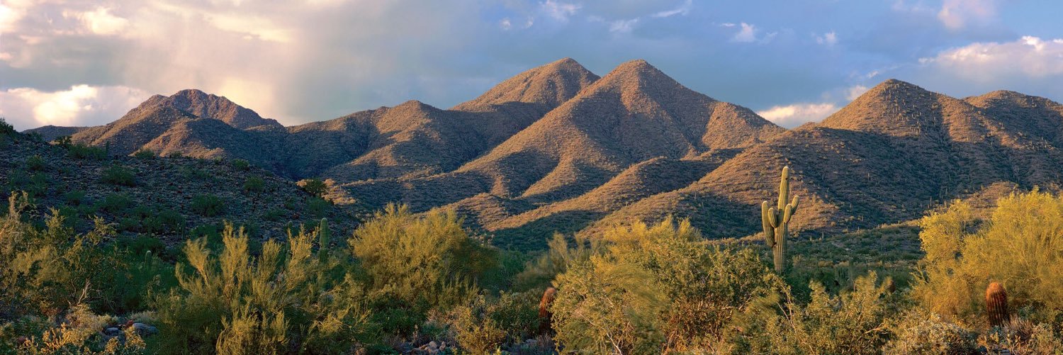 prestonmorrison's profile banner image