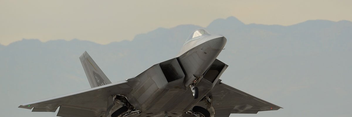 ICE ichigo 🇺🇸🇺🇸 banner