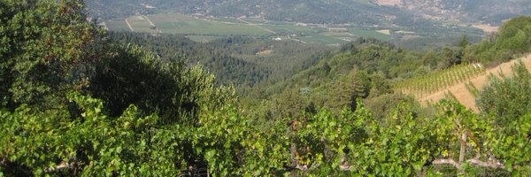 TastesLikeGrape Profile Banner