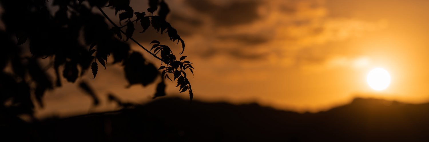 Nichiyama_'s profile banner image