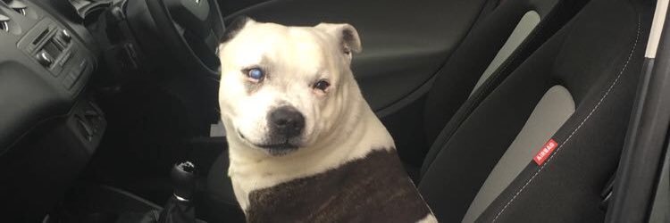 OliverHarrison_'s profile banner image