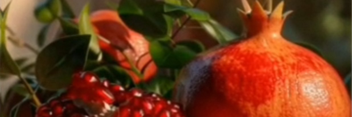 rozarodan's profile banner image