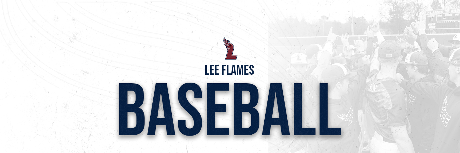 Lee Flames Baseball Profile Banner