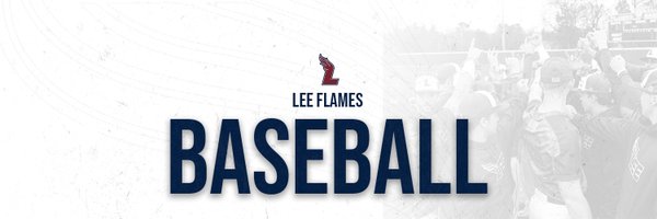 LeeUBaseball Profile Banner