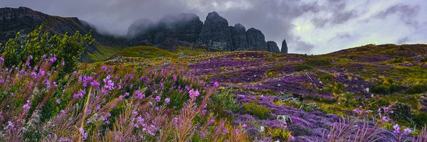 Auryane_ Profile Banner