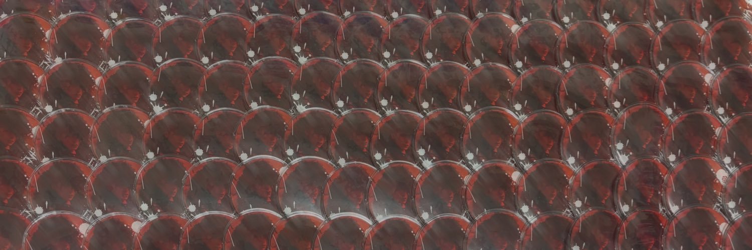 蛾 banner