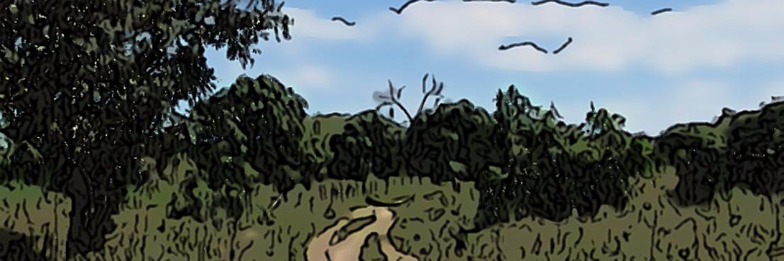 L. Jen Shaffer banner