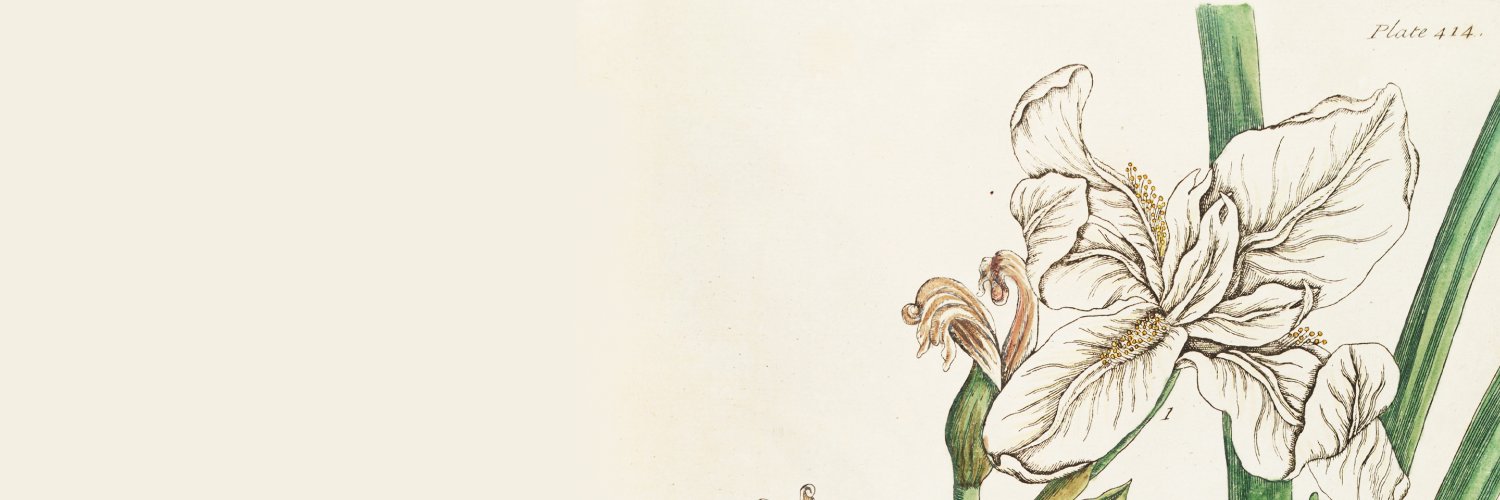 AbbevillePress's profile banner image